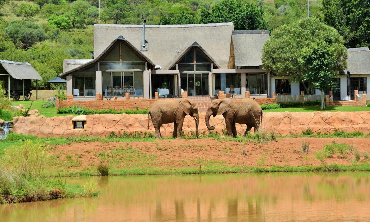 African Hills Safari Lodge & Spa ماغاليسبورغ المظهر الخارجي الصورة