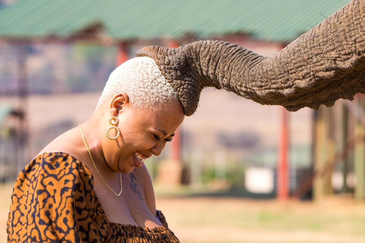 African Hills Safari Lodge & Spa ماغاليسبورغ المظهر الخارجي الصورة