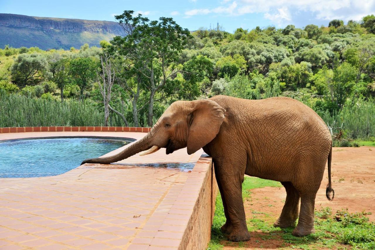 African Hills Safari Lodge & Spa ماغاليسبورغ المظهر الخارجي الصورة
