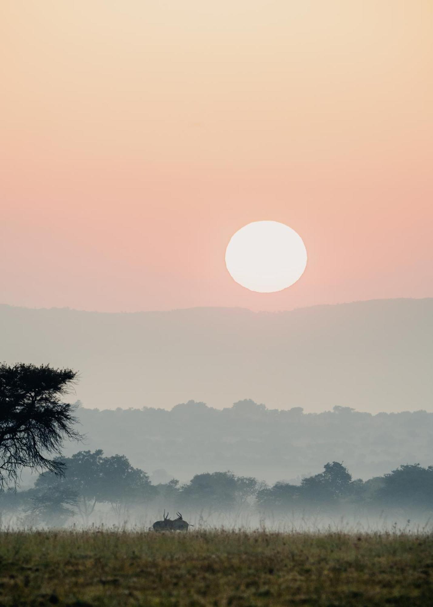 African Hills Safari Lodge & Spa ماغاليسبورغ المظهر الخارجي الصورة