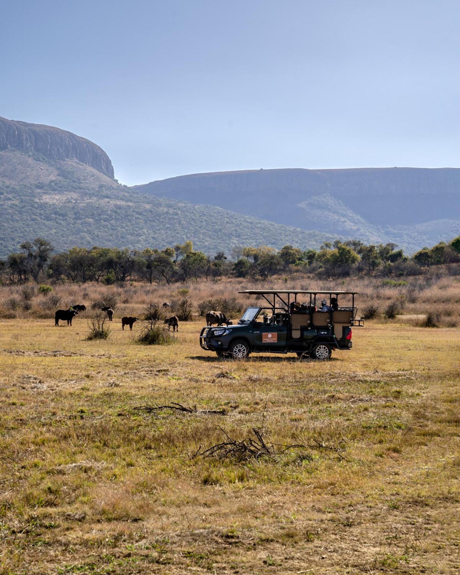 African Hills Safari Lodge & Spa ماغاليسبورغ المظهر الخارجي الصورة